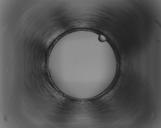 X0000103290922200809261246