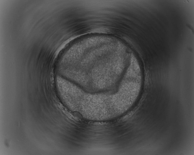 X0000103290923200809261246