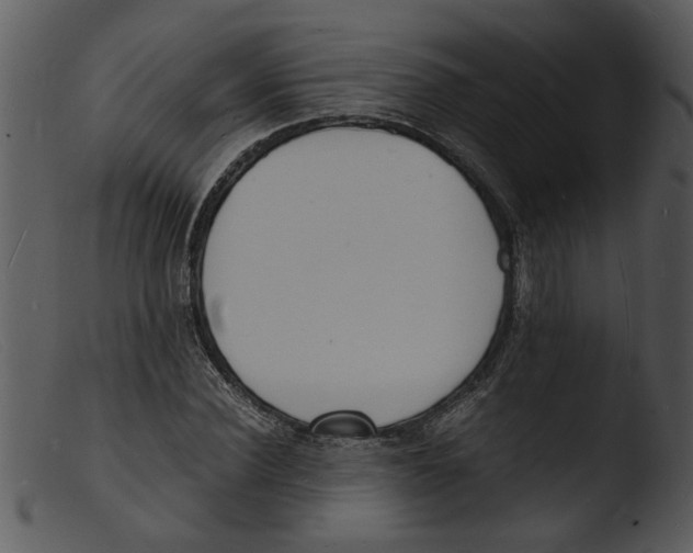 X0000103290924200809261246