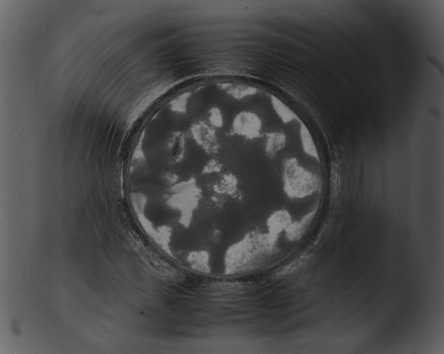 X0000103290925200809261246