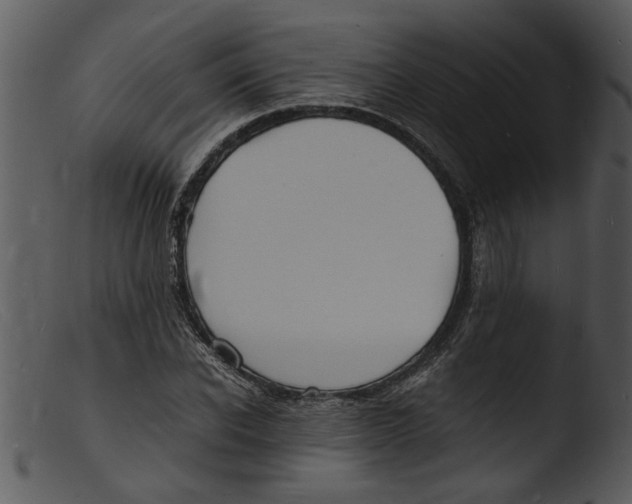 X0000103290926200809261246
