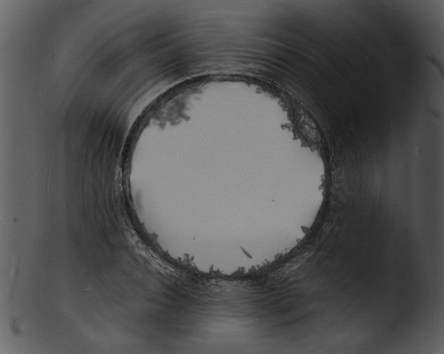X0000103290928200809261246