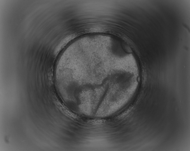 X0000103290930200809261246