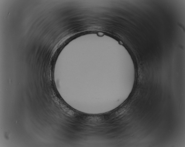 X0000103290931200809261246