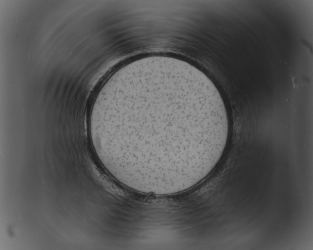 X0000103290934200809261246