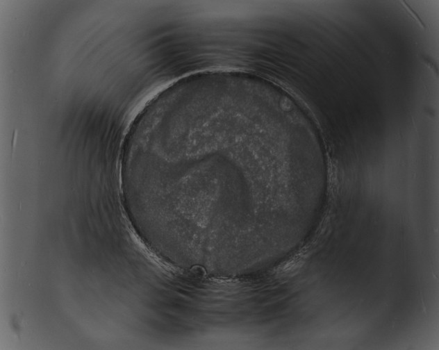 X0000103290935200809261246