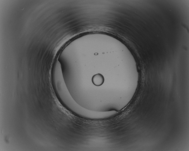 X0000103290936200809261246