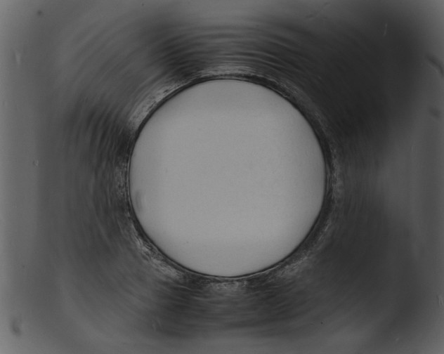 X0000103290937200809261246
