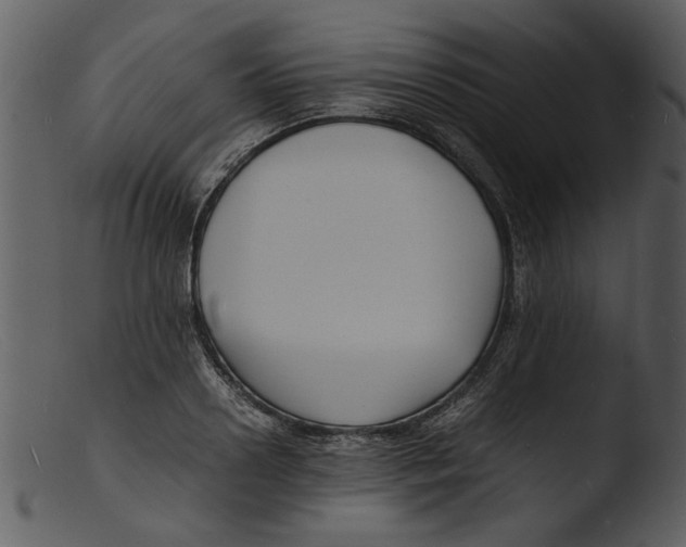 X0000103290938200809261246