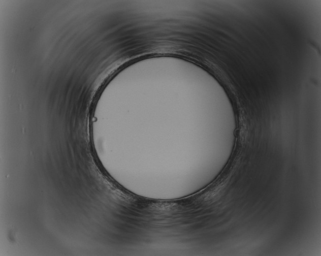 X0000103290939200809261246