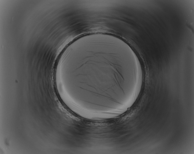 X0000103290941200809261246
