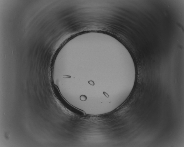 X0000103290942200809261246
