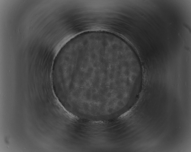 X0000103290943200809261246