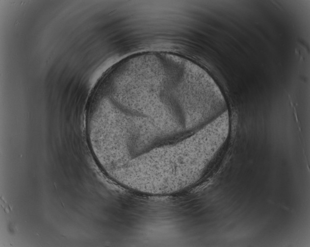 X0000103290944200809261246