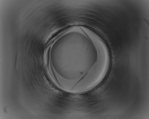 X0000103290945200809261246