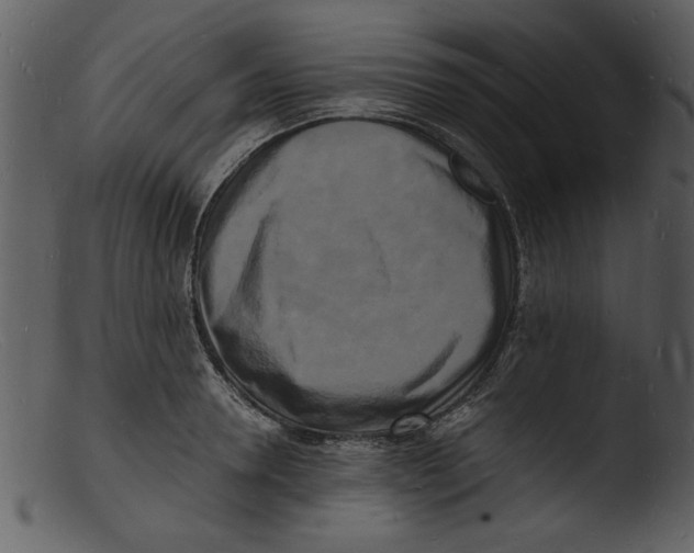 X0000103290946200809261246