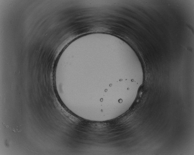X0000103290947200809261246