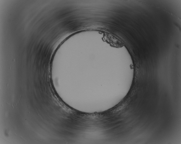 X0000103290948200809261246
