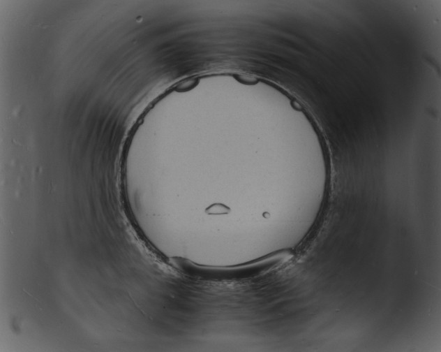 X0000103290949200809261246