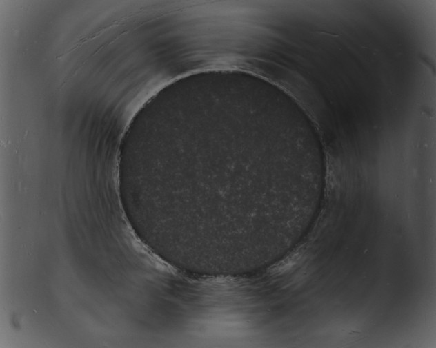 X0000103290950200809261246
