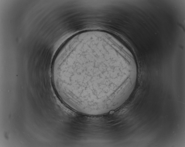 X0000103290951200809261246