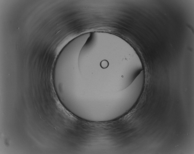 X0000103290952200809261246