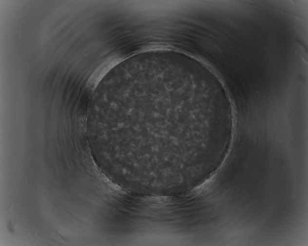 X0000103290953200809261246