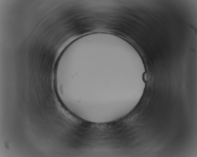 X0000103290955200809261246