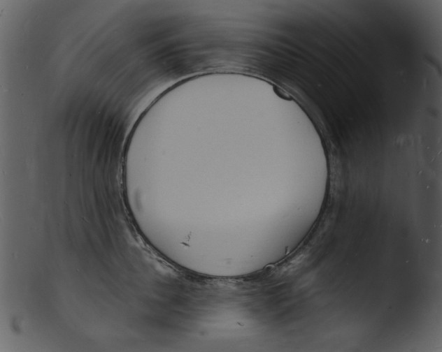 X0000103290956200809261246