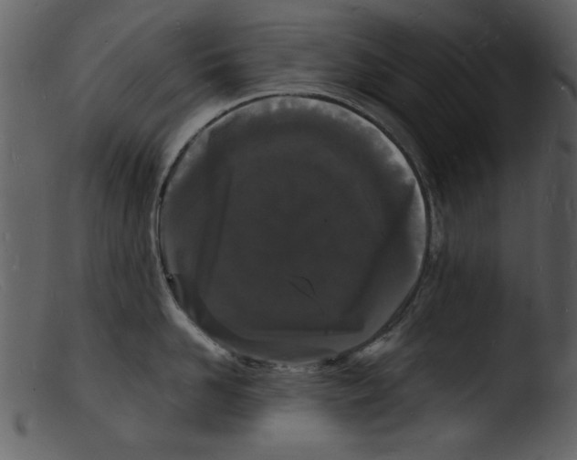 X0000103290958200809261246