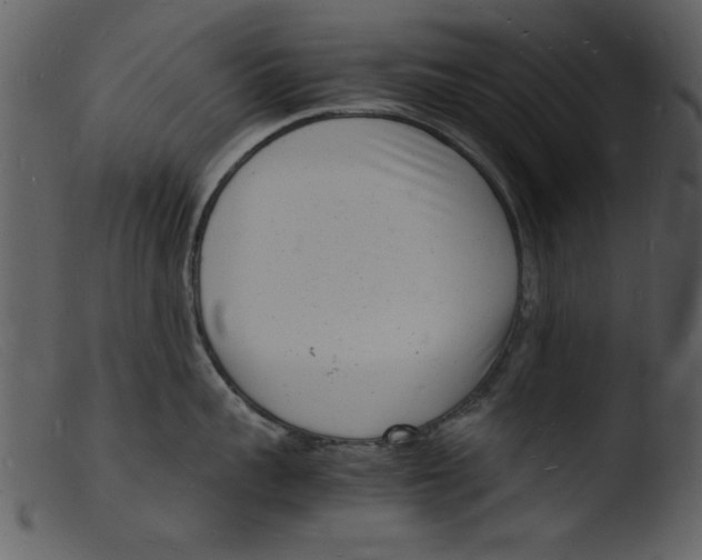 X0000103290959200809261246