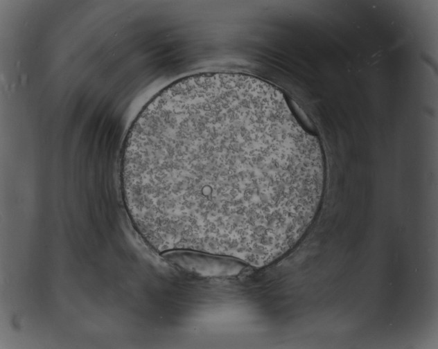 X0000103290960200809261246