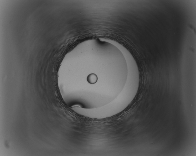 X0000103290961200809261246