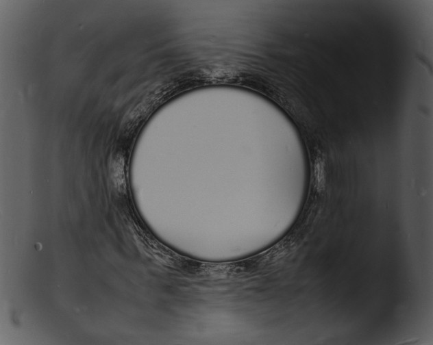 X0000103290963200809261246