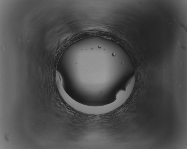 X0000103290965200809261246