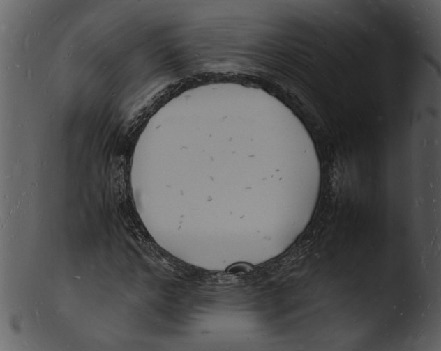 X0000103290968200809261245