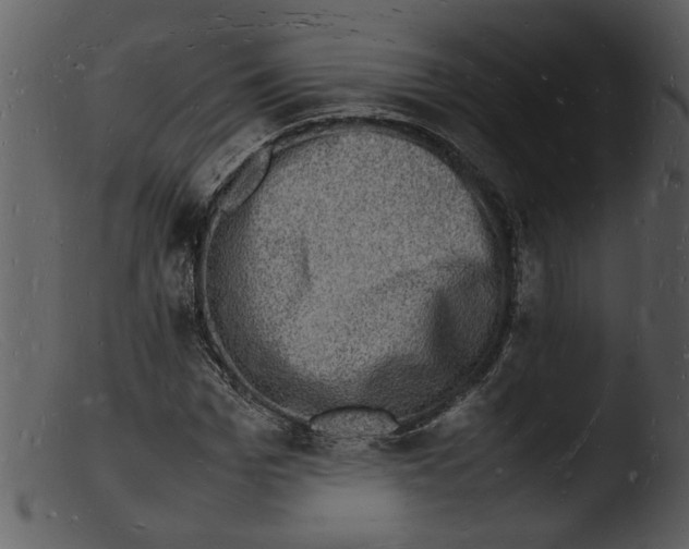 X0000103290969200809261245