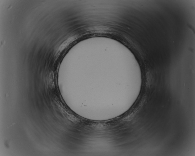 X0000103290970200809261245