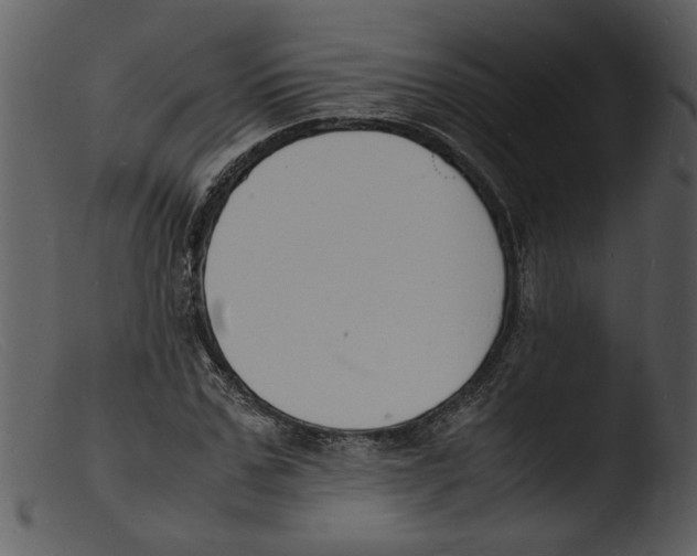 X0000103290971200809261245