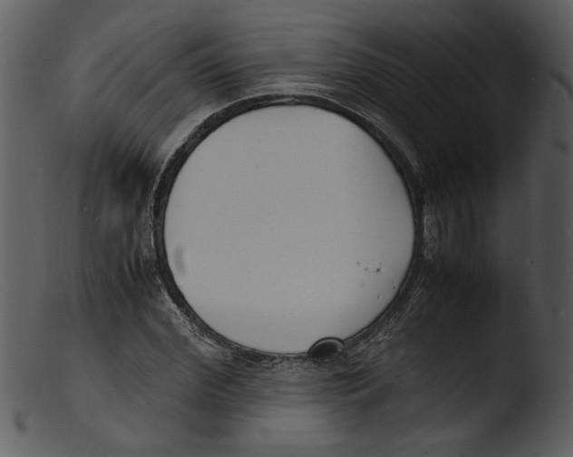 X0000103290972200809261245