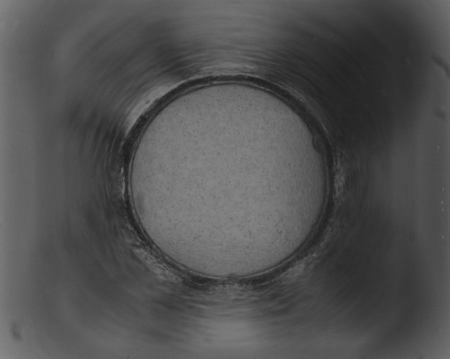X0000103290973200809261245