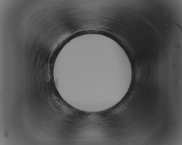 X0000103290974200809261245