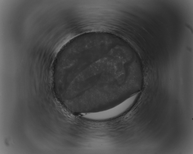 X0000103290975200809261245