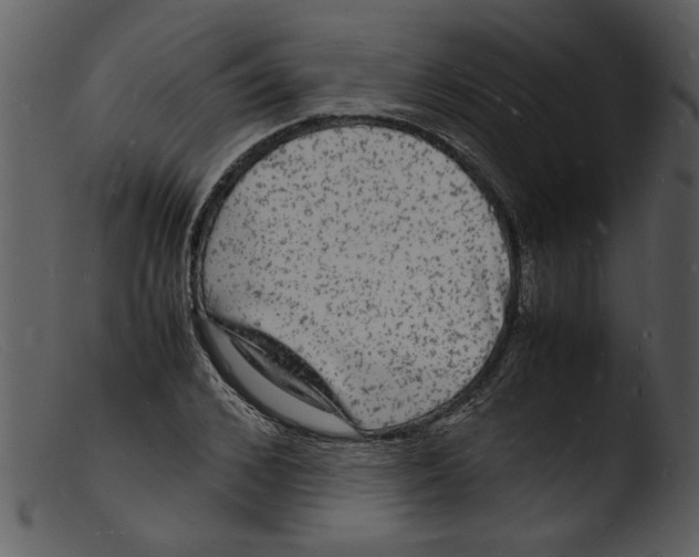 X0000103290976200809261245