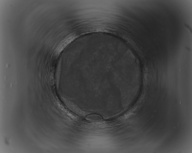 X0000103290977200809261245
