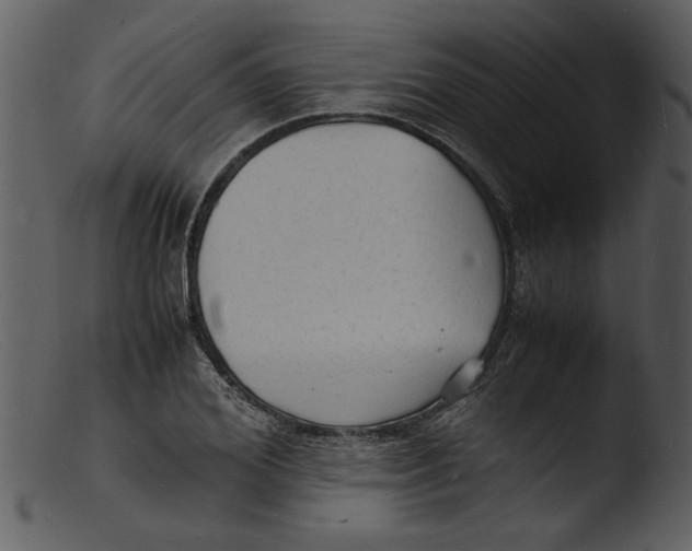X0000103290980200809261245