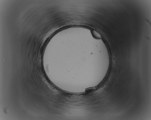 X0000103290981200809261245