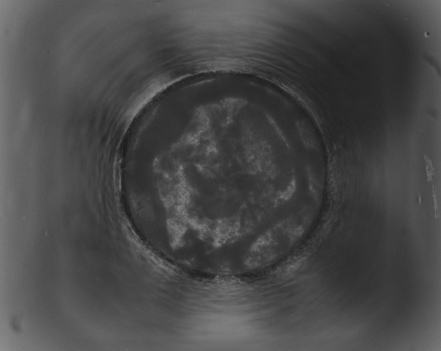 X0000103290983200809261245
