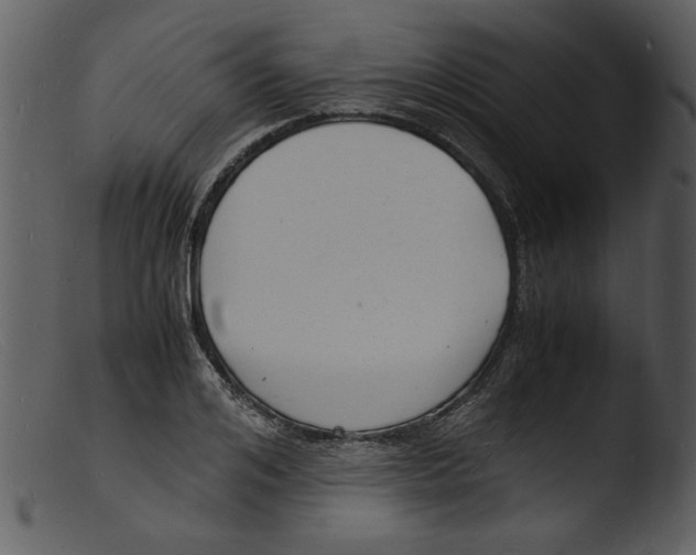 X0000103290984200809261245