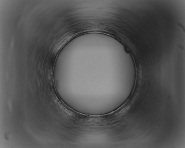 X0000103290985200809261245